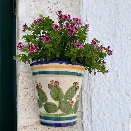 Casa Flavia *